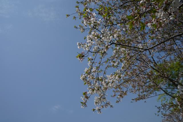 索尼微单 A7M3 索尼微单全画幅新基准A7M3测评(42)