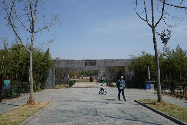 索尼微单 A7M3 索尼微单全画幅新基准A7M3测评(22)