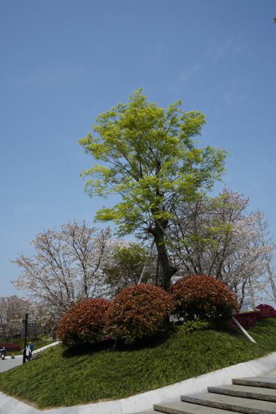 索尼微单 A7M3 索尼微单全画幅新基准A7M3测评(43)