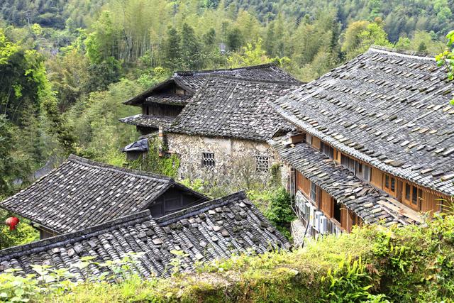 浙江宾利姐冯萍征婚状况 浙江女富豪冯萍(2)