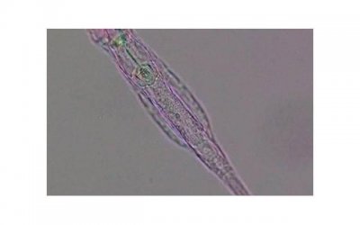 ​男生彻底放下的表现