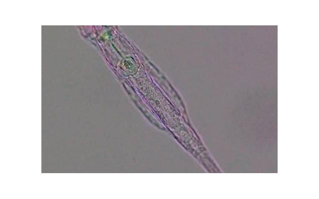 男生彻底放下的表现