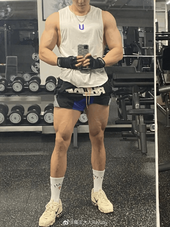 带藏獒入洪荒(带藏獒入洪荒TXT下载)