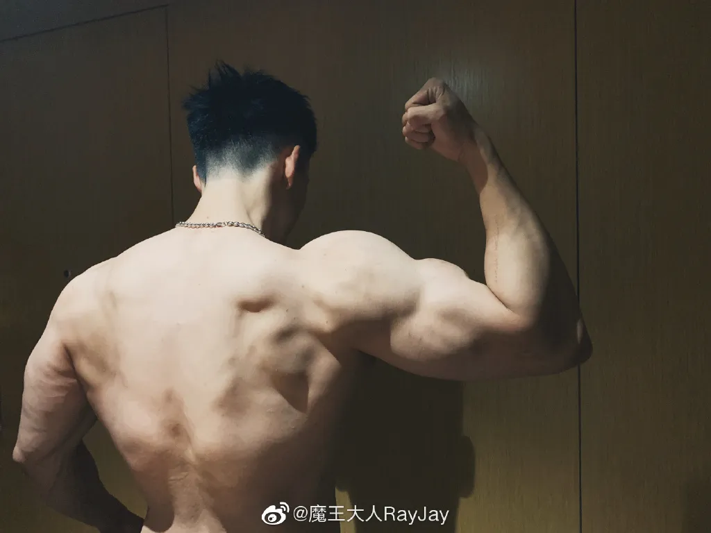 带藏獒入洪荒(带藏獒入洪荒TXT下载)