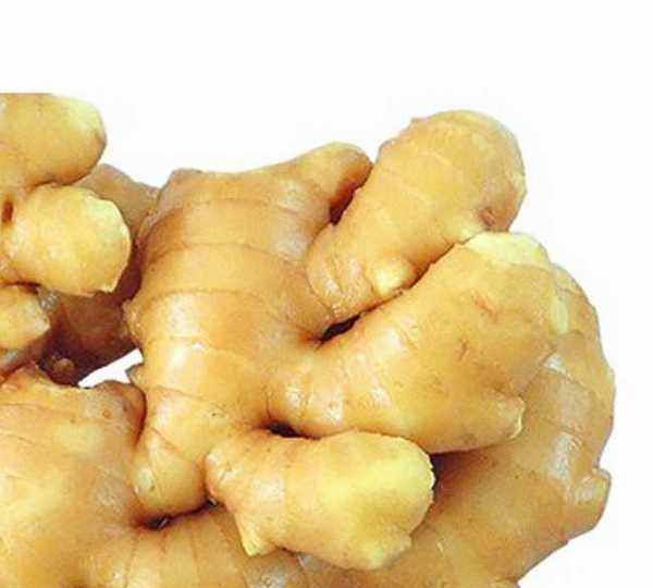 生姜怎么保存可以放的久一点,生姜怎么保存可以放得久一点图3