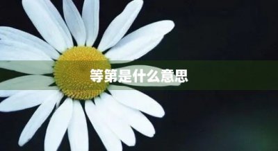 ​等第是什么意思(试卷等第是什么意思)