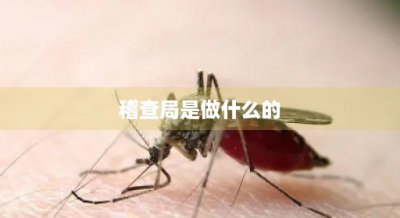 ​稽查局是做什么的(税务局和稽查局谁的权力大)