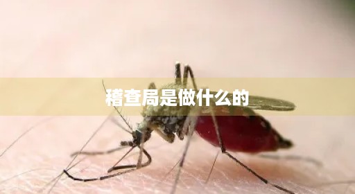 稽查局是负责做什么的 稽查局是负责做什么的