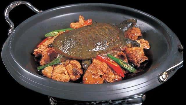 东安子鸡是哪个地方的菜系(东安子鸡是哪里的菜)