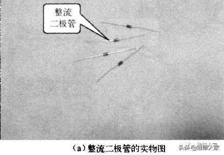 电吹风的维修方法(电吹风的内部主要组件)(9)