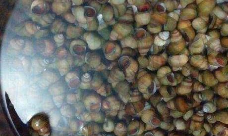 田螺怎么洗最快最干净，田螺身上怎么清洗最快最干净？图6