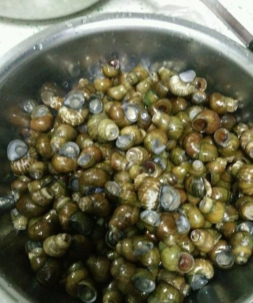 刚抓的田螺怎么洗最快最干净