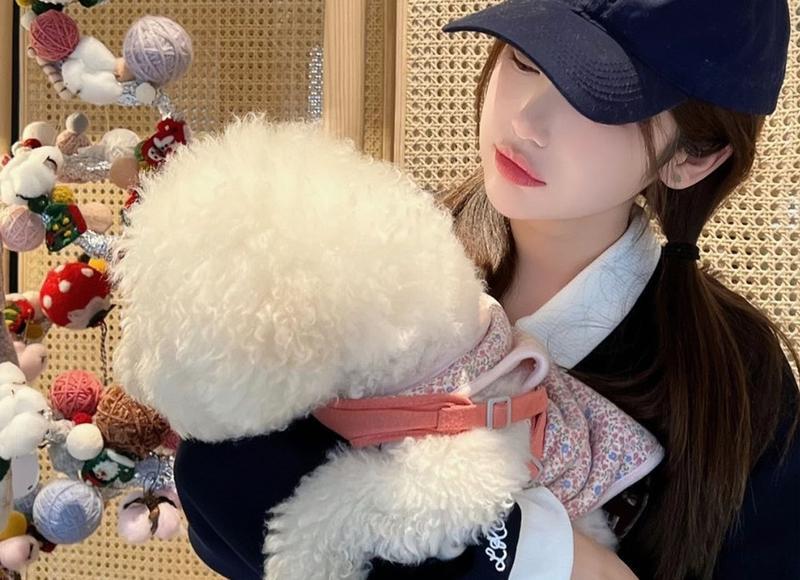  点赞就是放下的意思吗？怎么做到真正的放手