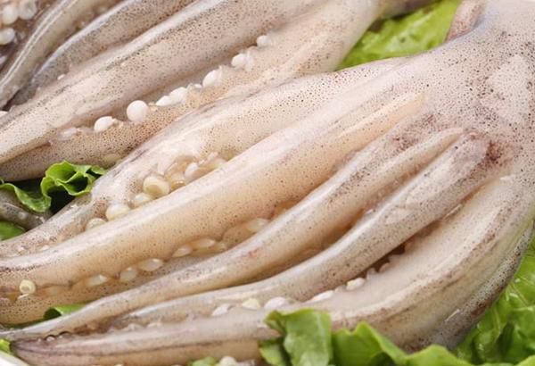 鱿鱼属于鱼类吗?为什么