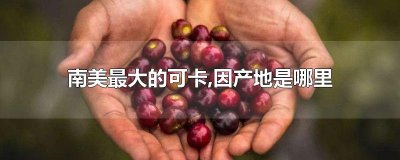 ​南美最大的可卡,因产地是哪里