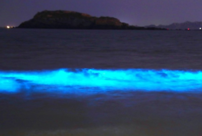 蓝眼泪什么时候会出现,福建“蓝眼泪”奇观迎来爆发期图3