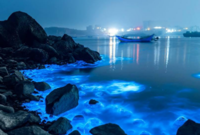 蓝眼泪什么时候会出现,福建“蓝眼泪”奇观迎来爆发期图1