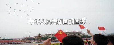 ​中华人民共和国的国体