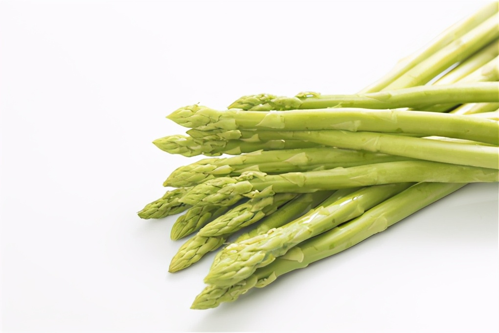 芦笋种植时间和方法(种植芦笋的小技巧分享)