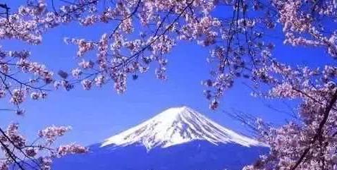 富士山不归属日本政府?每年需交天价租金,随时可能血本无归!