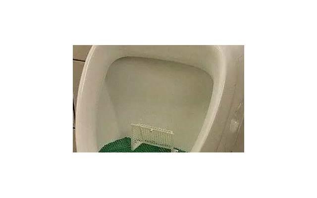 水瓶座究竟害怕什么?让我们来揭开他们的最大弱点 水瓶座究竟害怕什么?让我们来揭开他们的最大弱点