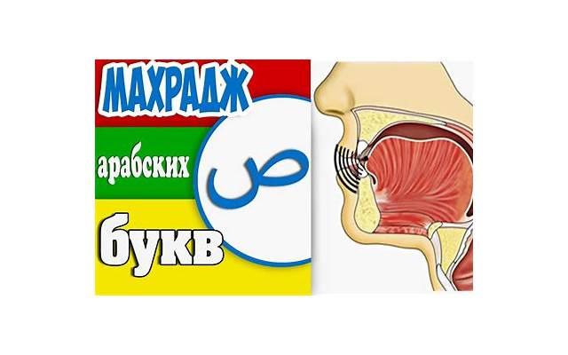 白羊座性格特点男感情