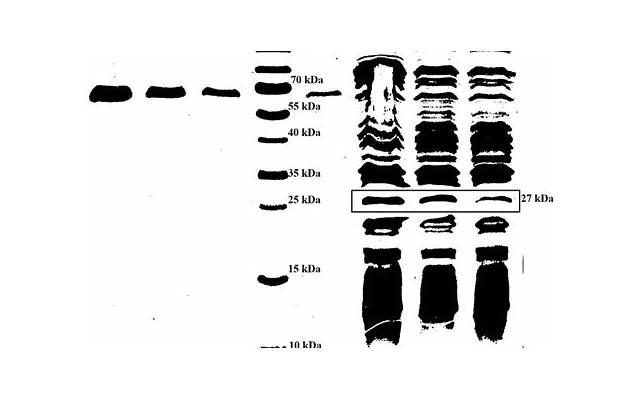 文章新电视剧（36岁文章搭档张嘉译新剧）