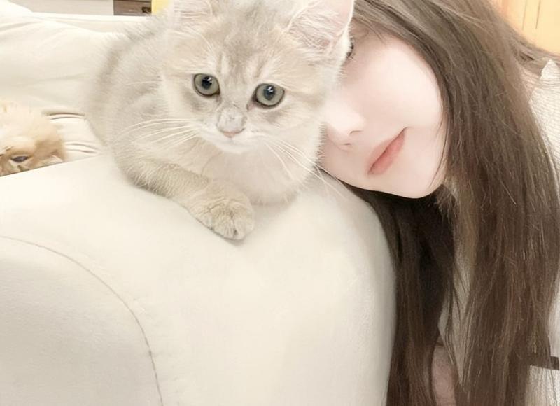 摆烂是啥意思 摆烂是啥意思