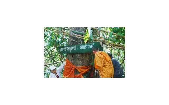 微博与博客，中小微企业网络推广渠道---新浪博客、微博