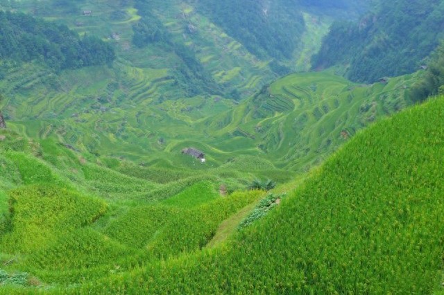 融水元宝山，广西第三高峰那些绝妙胜景