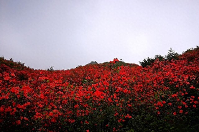 融水元宝山，广西第三高峰那些绝妙胜景