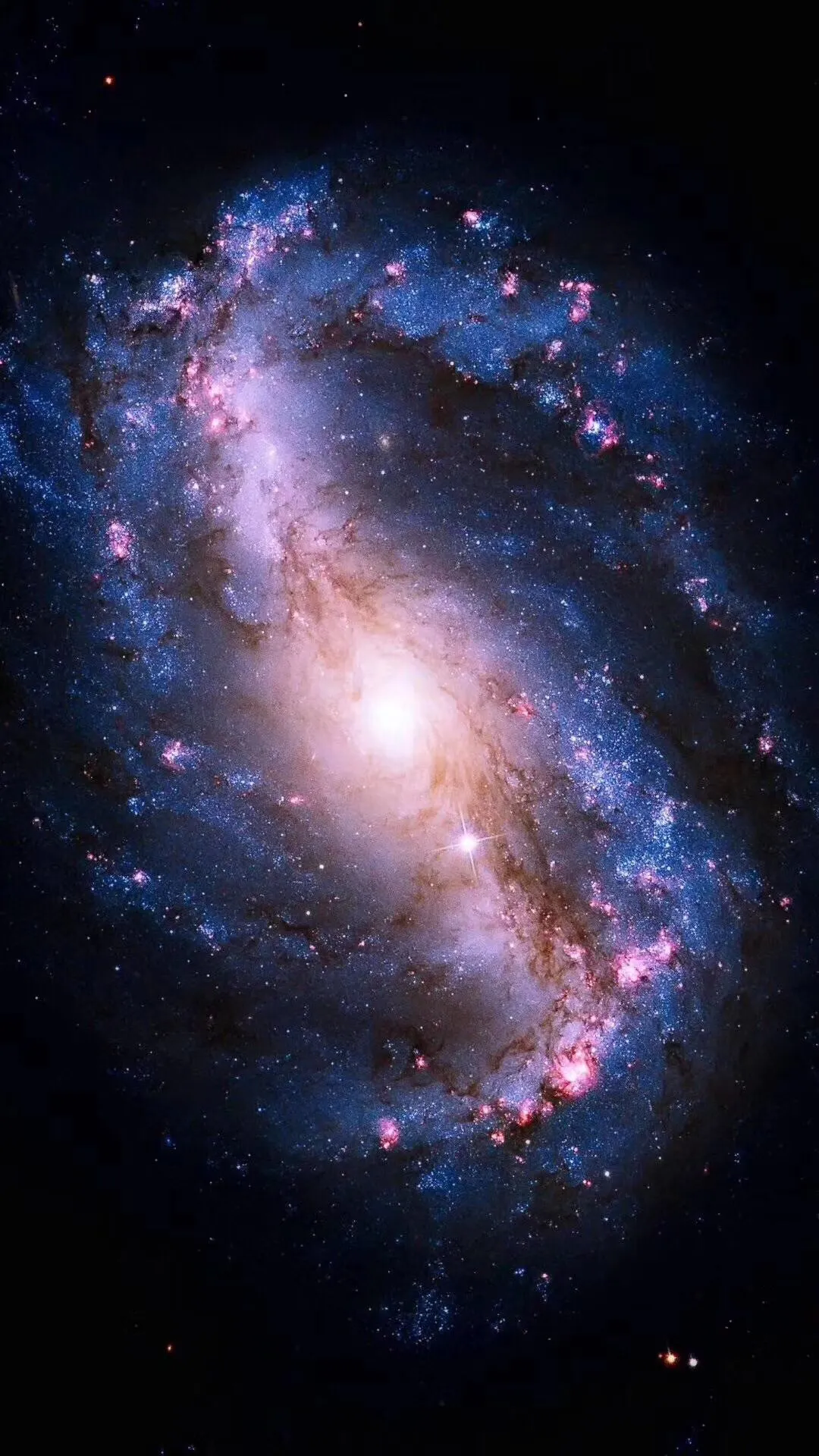 般若波罗蜜多心经注解(般若波罗蜜多心经的正确的读音是什么)-第2张图片-