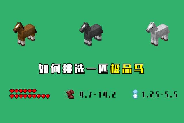 千里马指的是什么人(你是一名合格的伯乐吗)