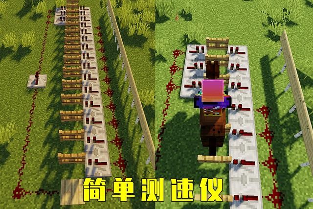 千里马指的是什么人(你是一名合格的伯乐吗)