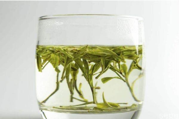 绿茶有什么功效呢 喝绿茶有什么好处呢 绿茶有什么功效呢 喝绿茶有什么好处呢