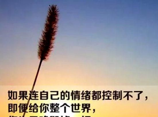经典语录励志人生感悟文章
