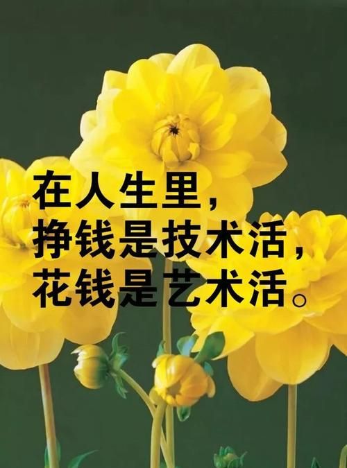 经典语录人生感悟一分钟的句子