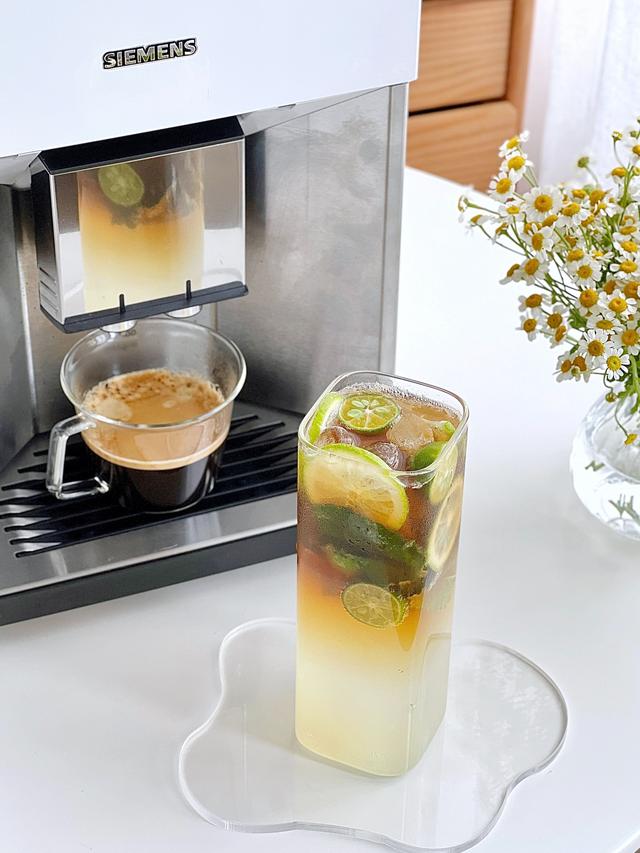 商用半自动意式咖啡机推荐（靠着它甚至可以出门摆摊）(10)