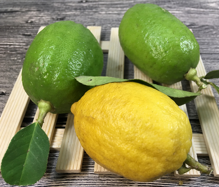 香水柠檬和柠檬的区别（详解二者之间的本质区别）