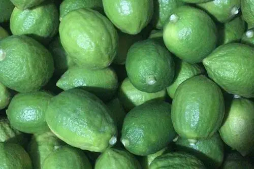 香水柠檬和柠檬的区别（详解二者之间的本质区别）