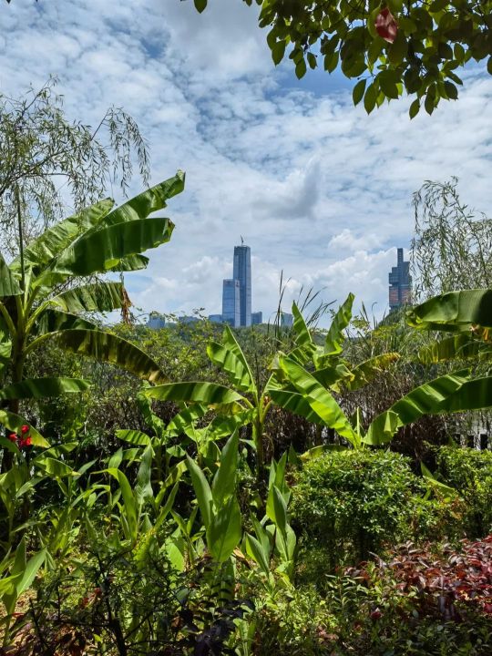 华为p50像素（华为p50让我觉得惊喜的4个性能）