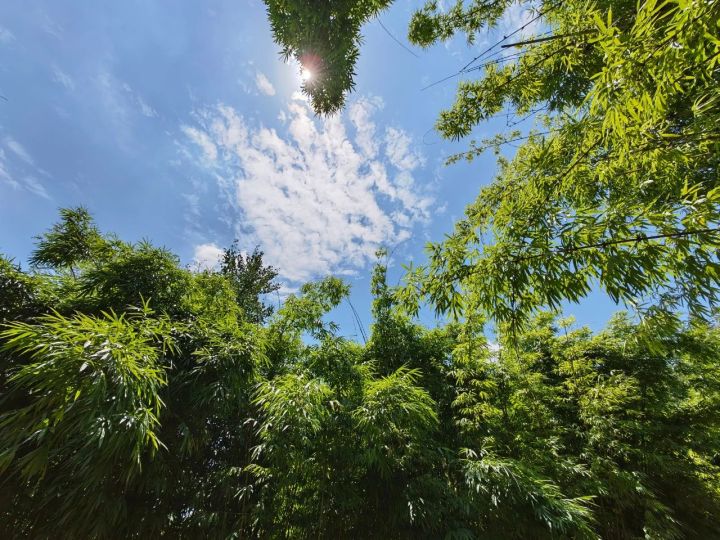 华为p50像素（华为p50让我觉得惊喜的4个性能）