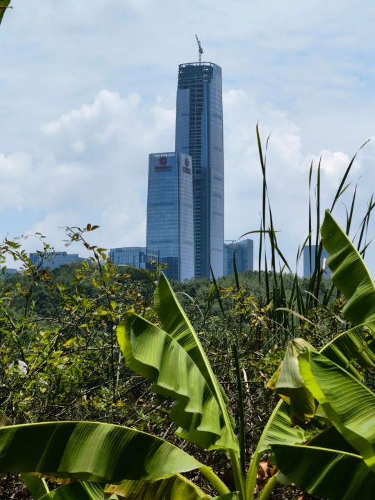 华为p50像素（华为p50让我觉得惊喜的4个性能）