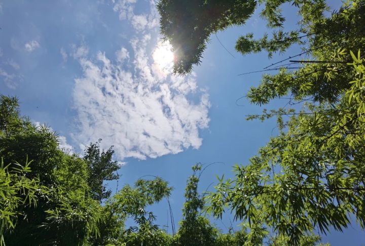 华为p50像素（华为p50让我觉得惊喜的4个性能）