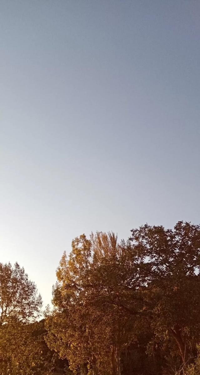 文化产品有哪些，黎族文化产品有哪些？图5