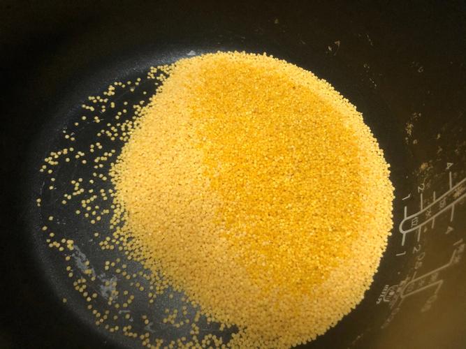 小米是什么（谁认识）