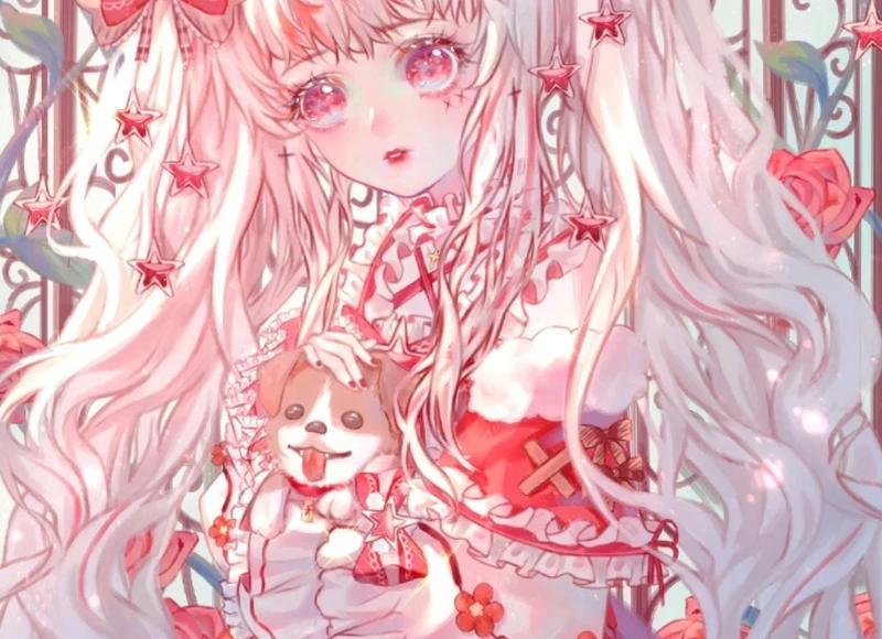 故意杀死流浪猫犯法吗