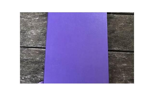 微信追妹子聊天记录(追妹套路微信聊天记录)