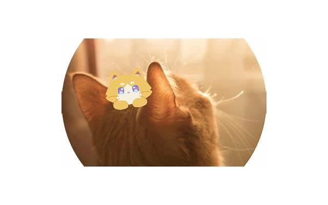 期望抖音摔跤的案牍（期望抖音摔跤的案牍怎样写）