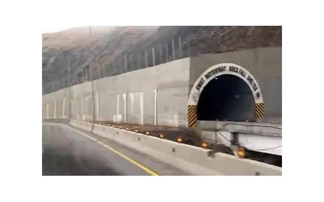 人想谈恋爱的生理原因 人想谈恋爱的生理原因